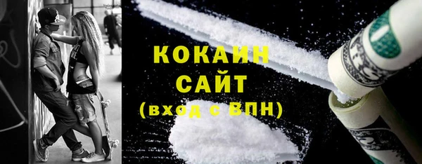 шишки Дмитров