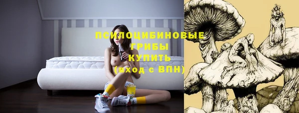 прущий лед Дмитриев