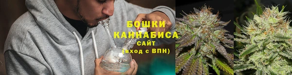 ПСИЛОЦИБИНОВЫЕ ГРИБЫ Дмитровск