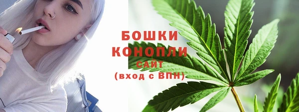 шишки Дмитров