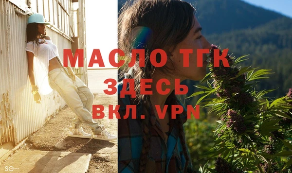 прущий лед Дмитриев