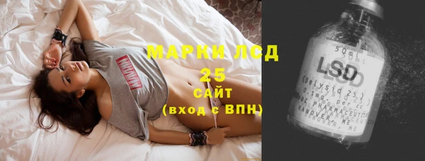 прущий лед Дмитриев
