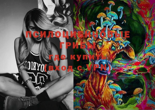 прущий лед Дмитриев