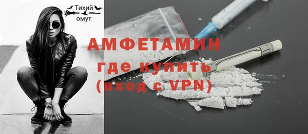 шишки Дмитров