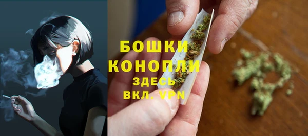 ПСИЛОЦИБИНОВЫЕ ГРИБЫ Дмитровск