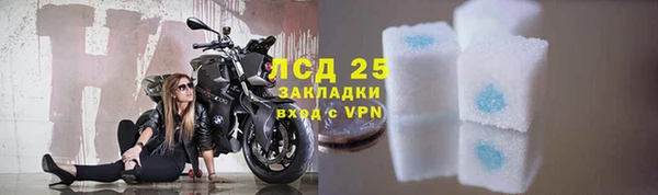 прущий лед Дмитриев