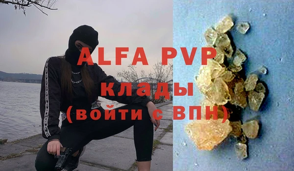 прущий лед Дмитриев