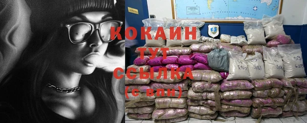 прущий лед Дмитриев