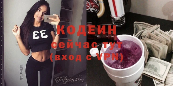 прущий лед Дмитриев