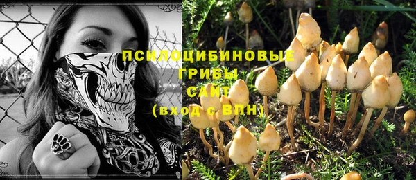 ПСИЛОЦИБИНОВЫЕ ГРИБЫ Дмитровск