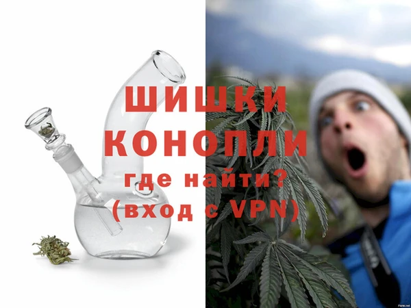 шишки Дмитров