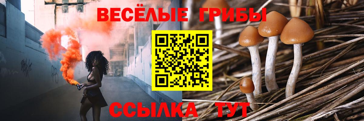Галлюциногенные грибы GOLDEN TEACHER  Вход с VPN  Галлюциногенные грибы Cubensis  где продают   Петровск 